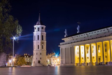 Gece Vilnius St Stanislaus ve St Ladislaus Katedrali Bazilikası. Litvanya