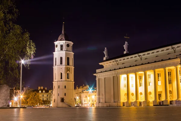 Кафедральная Базилика Святого Станислава Святого Ладислава Вильнюсского Ночью Литва — стоковое фото