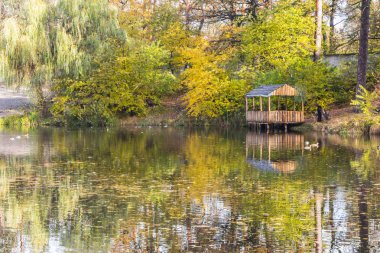Kuğular için küçük bir ev ile sonbaharda Orman gölü