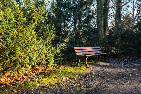 Dřevěná Lavička Podzimním Parku Wroclaw Polsko — Stock fotografie