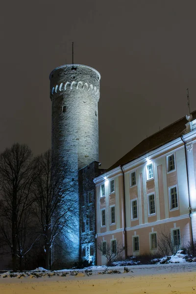 Ночной Вид Башню Пикк Герман Таллинне Эстония — стоковое фото