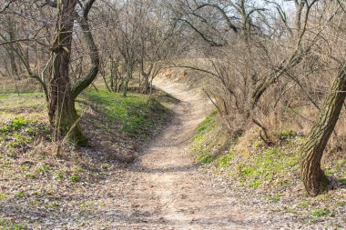 İlkbaharda Zaporizhzhia 'daki Khorytsia adasında. Ukrayna