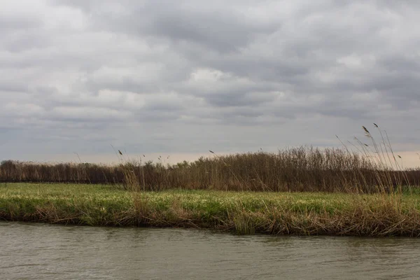 Orilla Del Río Reserva Biosfera Del Danubio Cerca Ciudad Vylkove — Foto de Stock