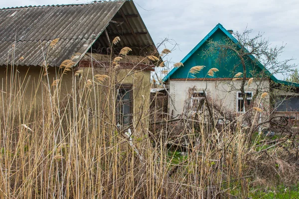 Vylkoveの町の葦の背景に家 ウクライナ — ストック写真