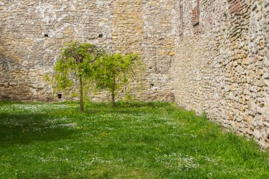 Budapeşte 'deki Margaret Adası' nda antik taş duvar ve yeşil çimenler. Macaristan