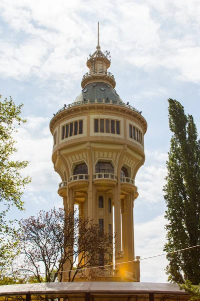 Widok Margaret Island Water Tower Budapeszcie Węgry — Zdjęcie stockowe