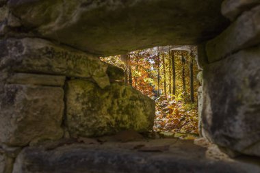 taş duvar sonbahar orman görünümünü