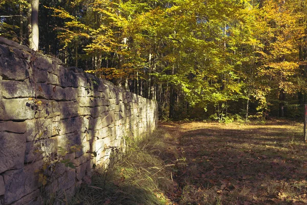Otoño Bosque Viejo Muro Piedra — Foto de Stock
