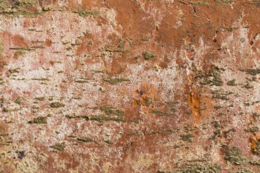 dokusunun closeup - eski tuğla - arka plan