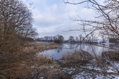 dondurulmuş doğa - ağaçlar gölde