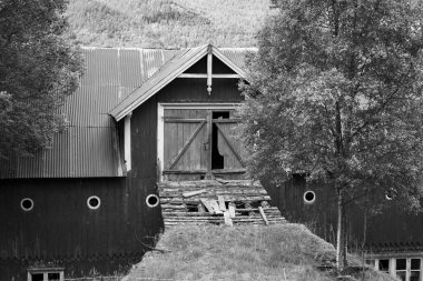 Bir orman kayıp ve terk edilmiş yerlerde