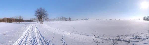 Route Enneigée Arbres Chauves Ciel Bleu Soleil — Photo