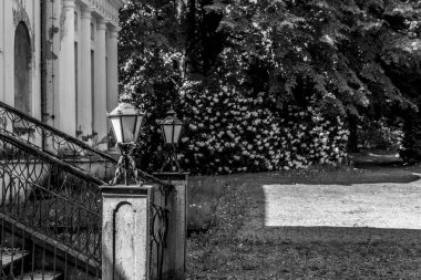 güzel Rhododendron çiçeği ve eski ev