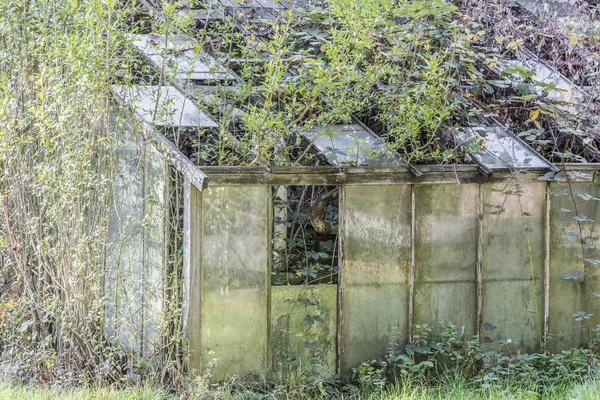 古い老朽化した温室 — ストック写真