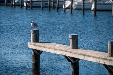 Mavi deniz, arkada gemiler.