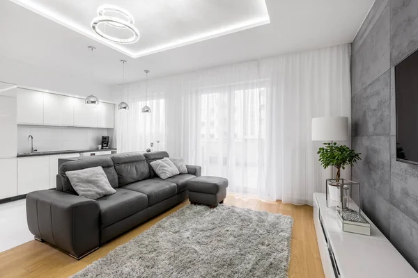 Öppet Grå Och Vita Vardagsrum Med Skinnsoffa Och Modern Lampa — Stockfoto