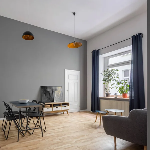 モダンな家具が備わり、居心地の良いアパートメント — ストック写真