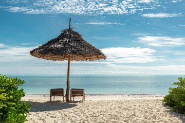 güzel bir plaj ve okyanus