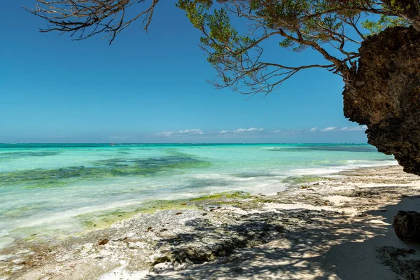 Niesamowita wyspa Zanzibar — Zdjęcie stockowe