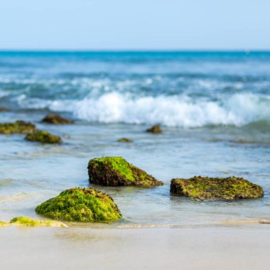 Okyanustaki kayaların yakın çekim