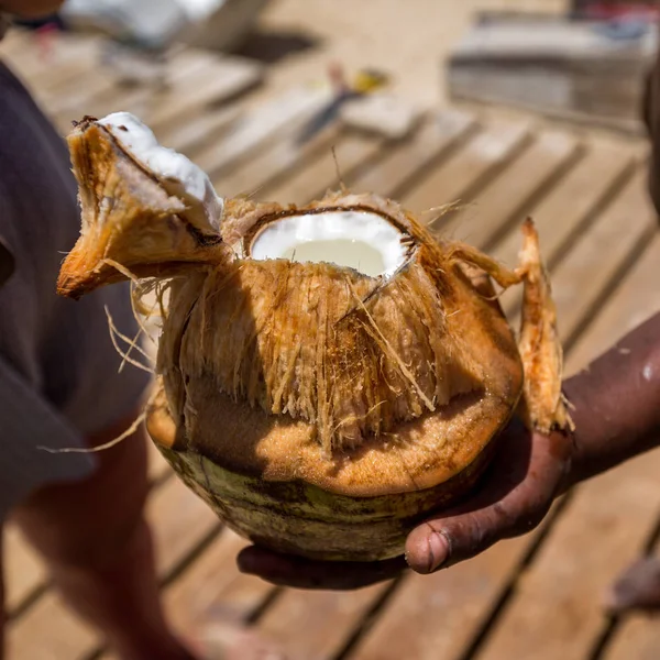 Świeży, otwarty orzech kokosowy — Zdjęcie stockowe