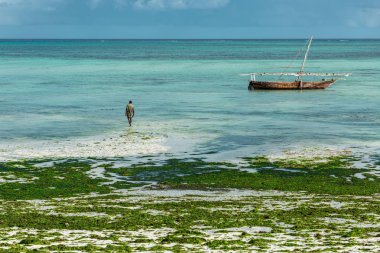 Düşük gelgit sırasında okyanusta adam