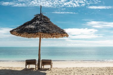 Okyanusun kenarında rahatla.