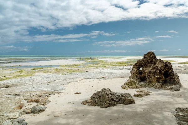 Maré baixa e costa de coral — Fotografia de Stock