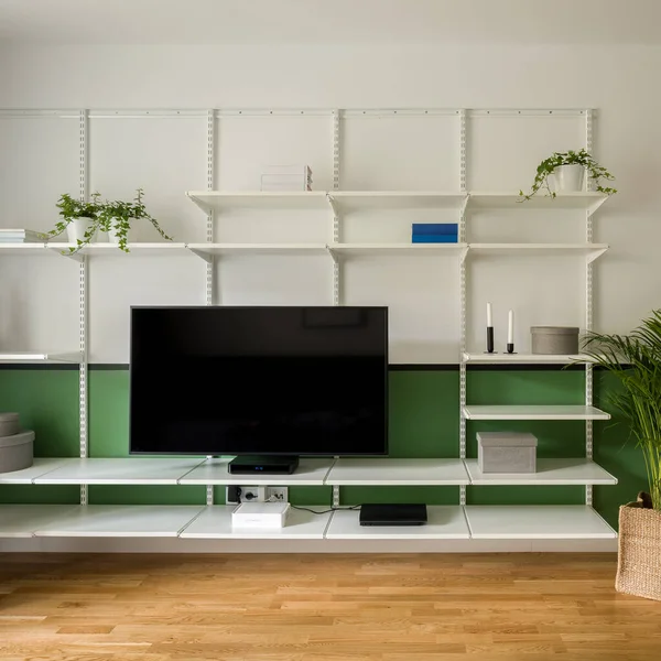 Wohnzimmer Mit Weiß Wandregale Industriellen Stil Mit Pflanzen Und Einfachen — Stockfoto