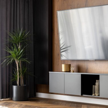 Büyük televizyon ve draacaena bitkisi siyah tencerede ahşap zemin ve duvarları olan şık oturma odasında.