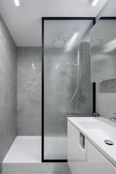 Modern bathroom in gray tiles and with shower behind industrial style reinforced glass wall