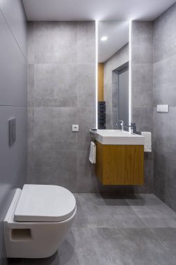 Uzun aynalı, tuvaletli, lavabolu, ahşap çekmeceli ve ışıklı modern gri banyo.