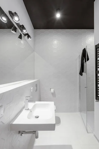 雅致的浴室 有黑色天花板 白色六边形墙砖和长镜 — 图库照片