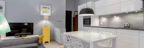 Panorama Pequeno Apartamento Cinza Branco Com Sala Estar Cozinha Área — Fotografia de Stock