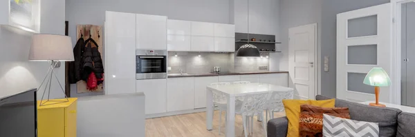 Panorama Pequeno Inteligente Apartamento Projetado Com Sala Estar Cozinha Área — Fotografia de Stock