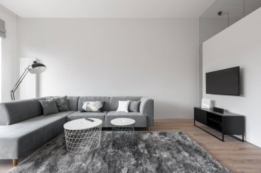 Gri ve beyaz duvarları olan basit ve zarif oturma odası, büyük köşeli kanepe, şık halı, modern kahve masaları ve büyük ekran televizyon.