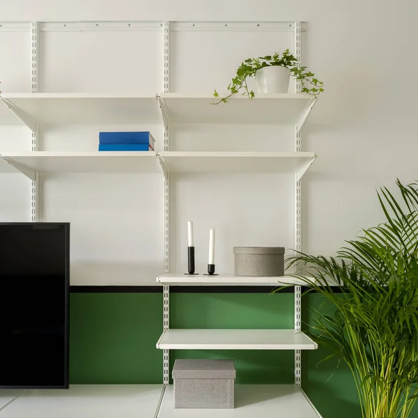 Industrial style, white shelves with decorations and houseplants in living room with white and green wall