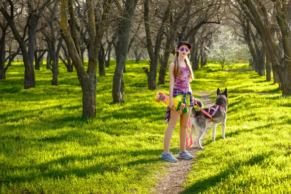 Das Mädchen geht mit einem Hund im Park spazieren — Stockfoto