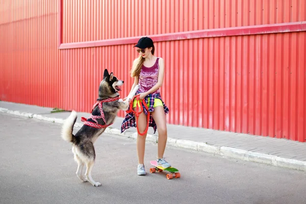 Девушка на скейтборде с собакой — стоковое фото