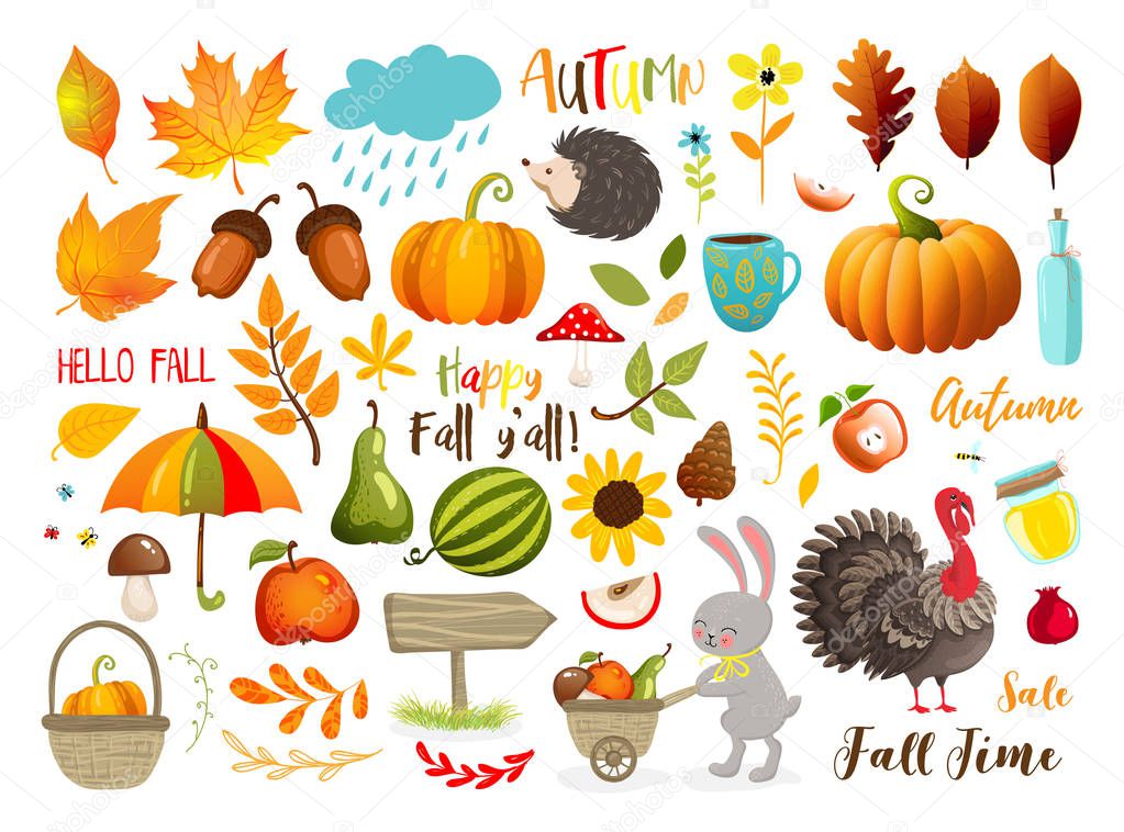 Autumn set with hand drawn elements. Calligraphy, fall leaves, animals and other. Vector illustration EPS 10