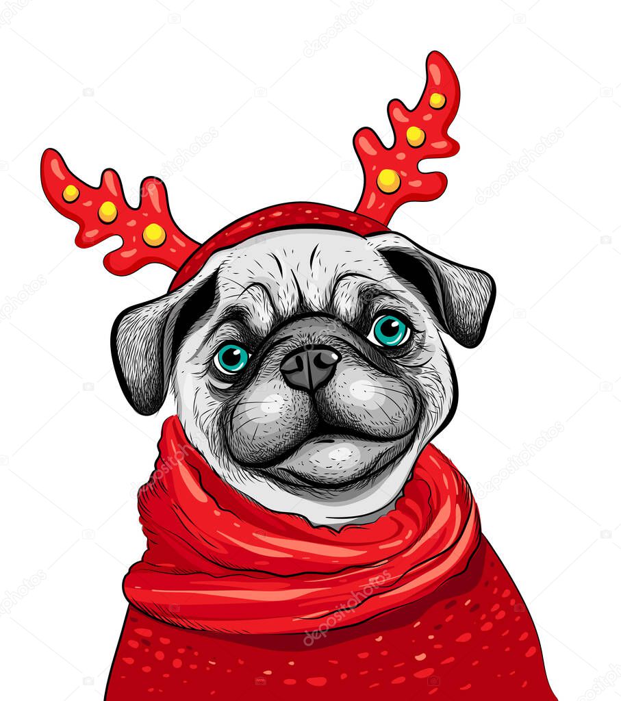 Portrait dog pug in a reindeer antlers, red glasses, red scarf. Cute mops, Vector illustration.