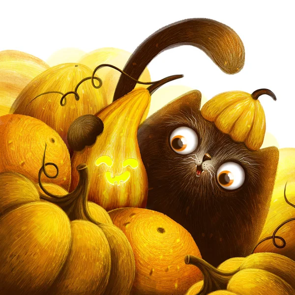 Kawaii painting black cat with pumpkins on white background. Greeting card, postcard, poster, banner, flyer and other. Digital illustration — Stock Photo, Image