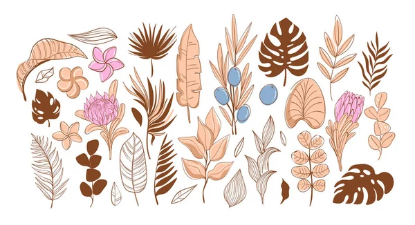 Grote set van tropische bladeren en bloemen, vector illustratie. Trendy beige kleuren — Stockvector