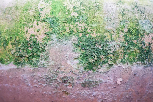 Keramische Moss Detail Oppervlak — Stockfoto