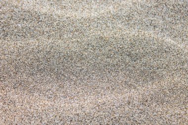 Kum arka plan doğa yüzey