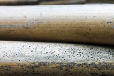 Reed kamışı doğa yüzey