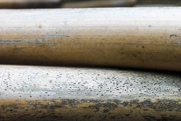 Reed kamışı doğa yüzey