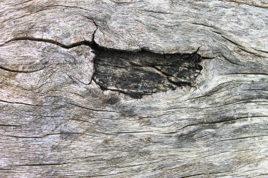 Rustik ahşap ayrıntılı yüzey