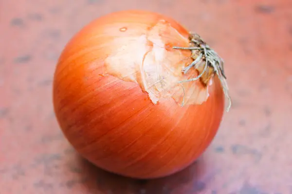 Isolated Onion Background Detail — Stock Photo, Image