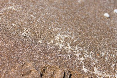 Kum Beach yüzey ayrıntılı olarak doğa